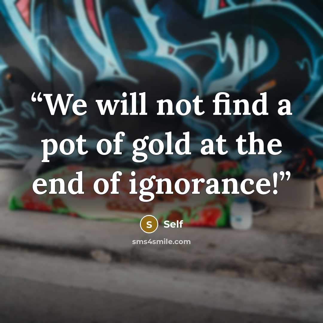 “We will not find a pot of gold at the end of ignorance!” quote by Self
