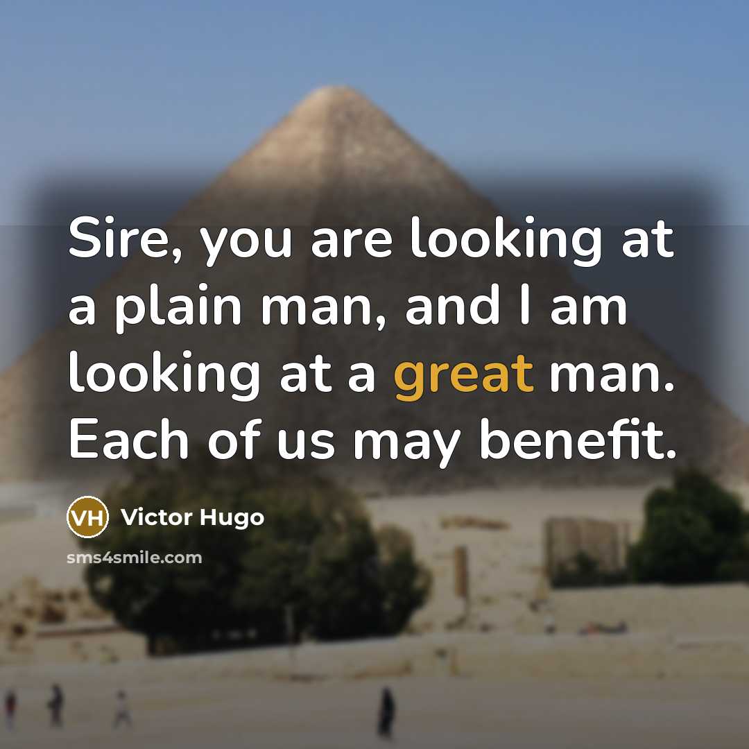 “Sire, you are looking at a plain man, and I…” quote by Victor Hugo