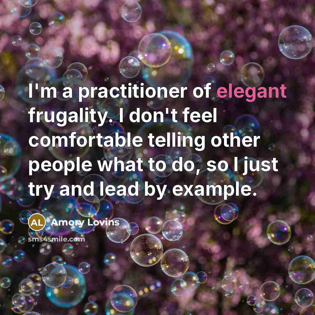 “I'm a practitioner of elegant frugality. I don't feel comfortable…” quote by Amory Lovins