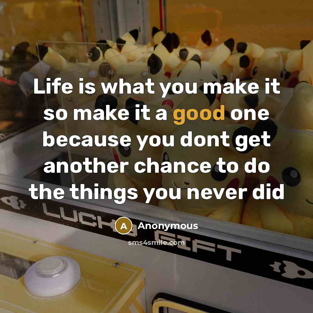 “Life is what you make it so make it a good one because you dont get another chance to do the things you never did” quote by Anonymous