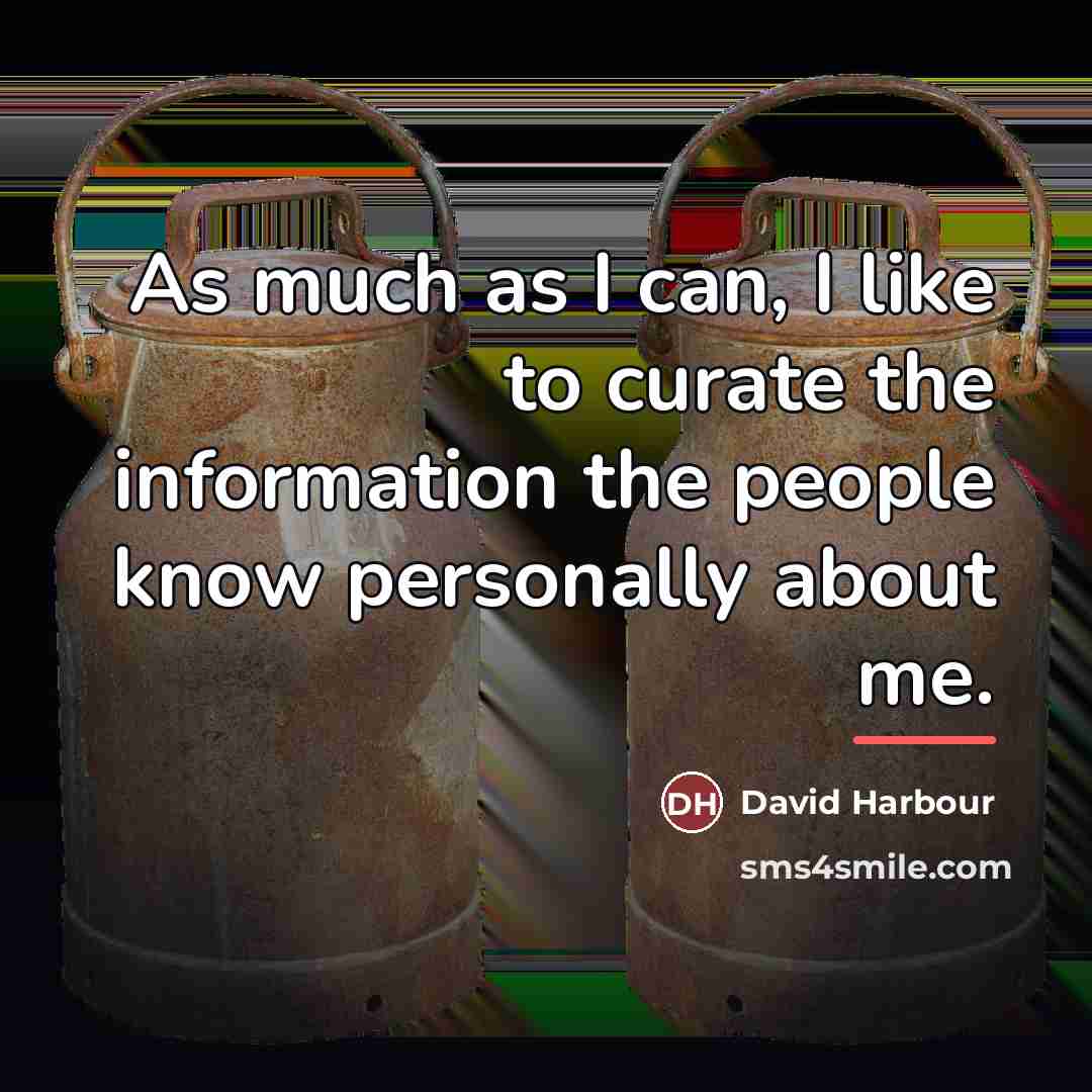 “As much as I can, I like to curate the…” quote by David Harbour