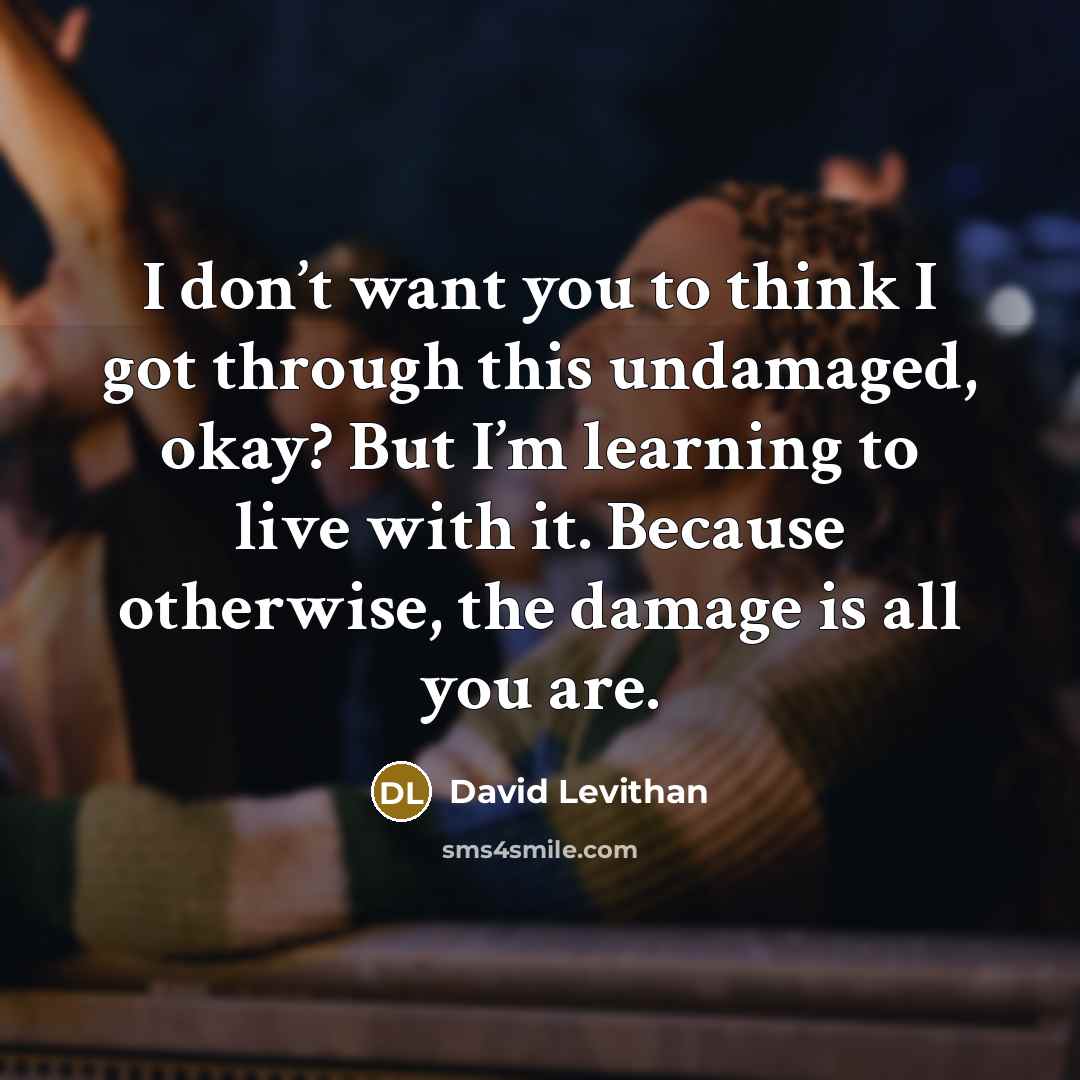 “I don’t want you to think I got through this…” quote by David Levithan