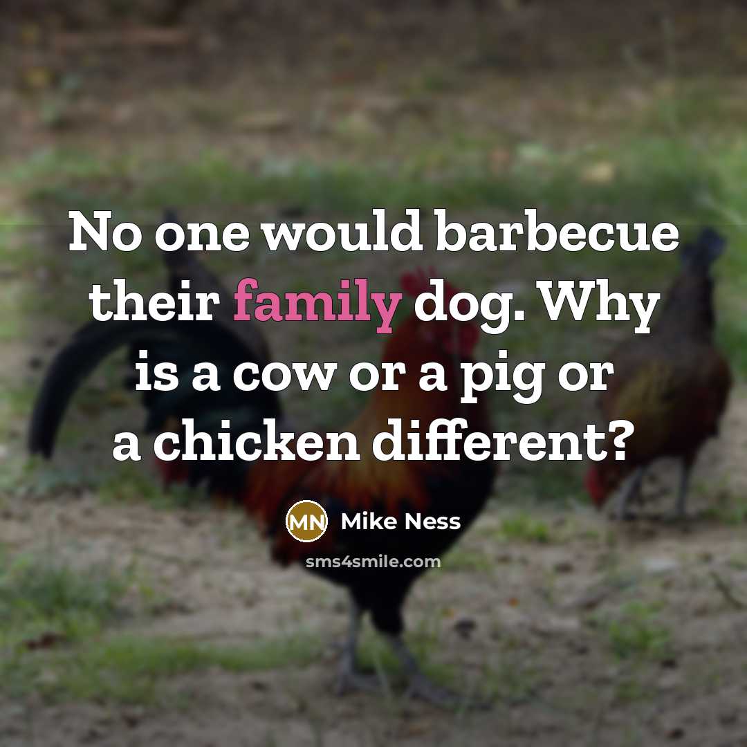 “No one would barbecue their family dog. Why is a…” quote by Mike Ness