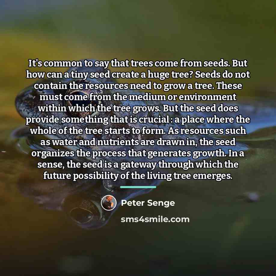 “It's common to say that trees come from seeds. But…” quote by Peter Senge