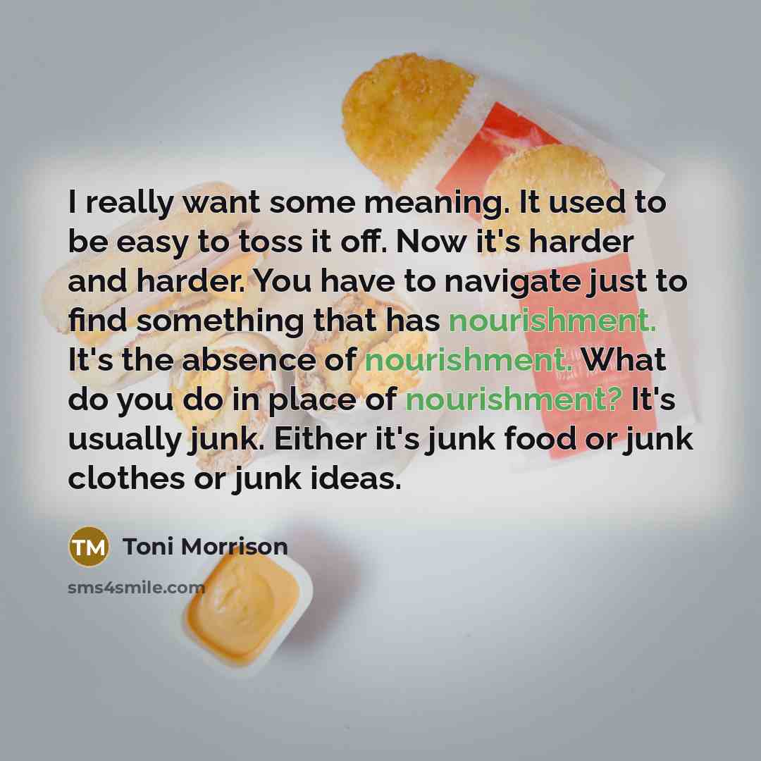 “I really want some meaning. It used to be easy…” quote by Toni Morrison