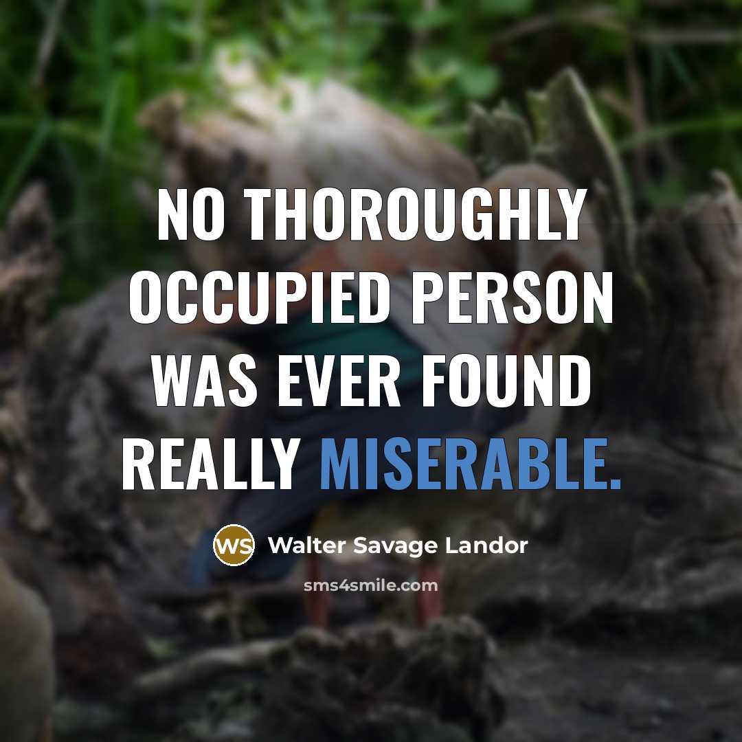 “No thoroughly occupied person was ever found really miserable.…” quote by Walter Savage Landor