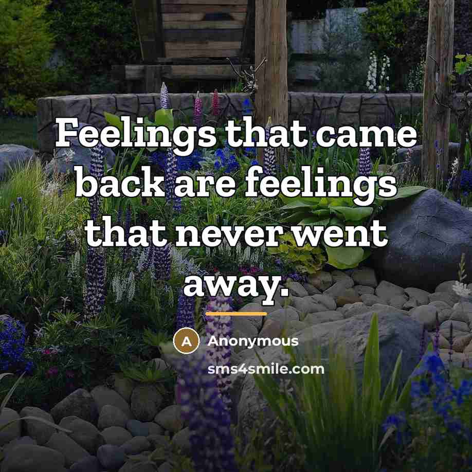 “Feelings that came back are feelings that never went away.…” quote by Anonymous