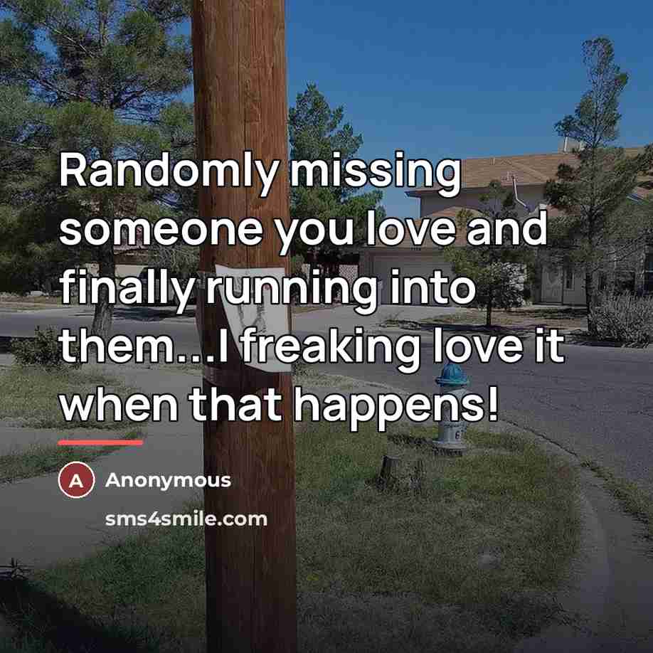 “Randomly missing someone you love and finally running into them...I…” quote by Anonymous