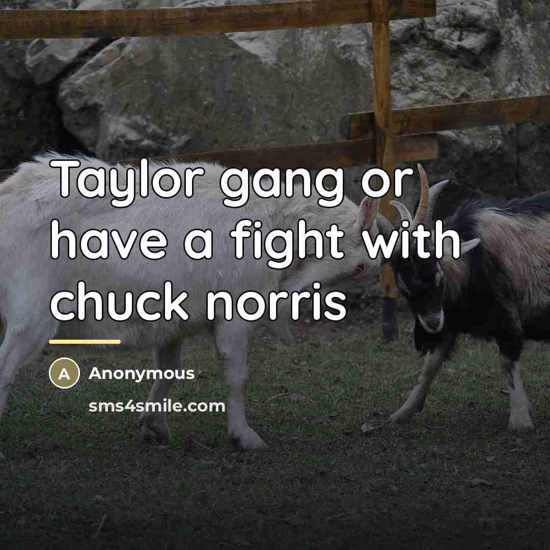 “Taylor gang or have a fight with chuck norris…” quote by Anonymous