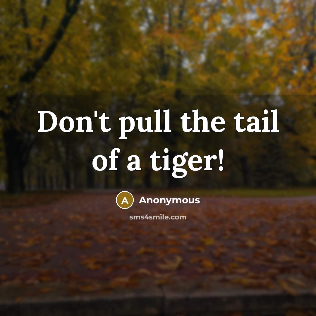 “Don't pull the tail of a tiger!…” quote by Anonymous