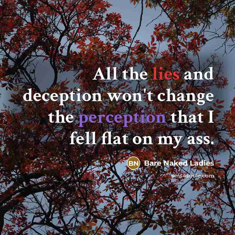 “All the lies and deception won't change the perception that…” quote by Bare Naked Ladies