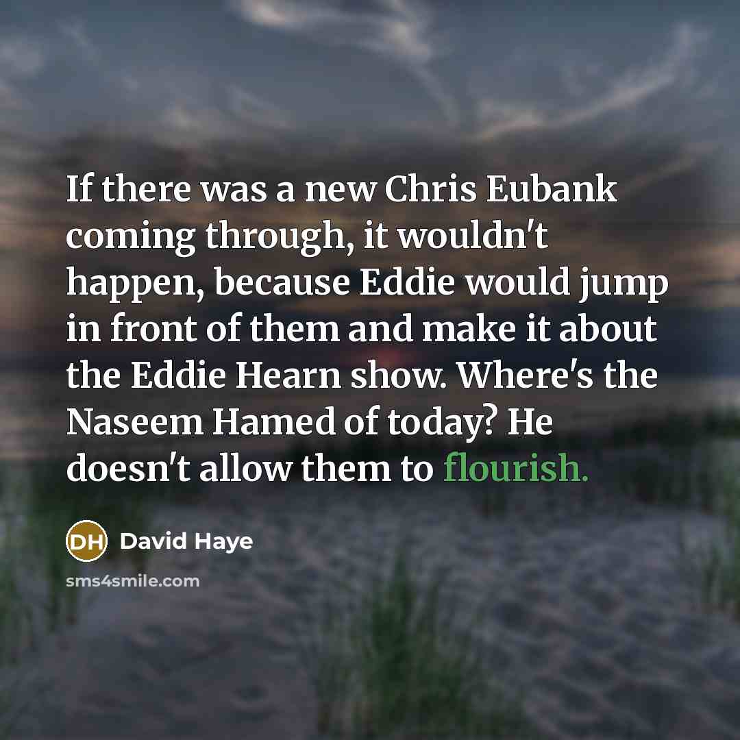“If there was a new Chris Eubank coming through, it…” quote by David Haye