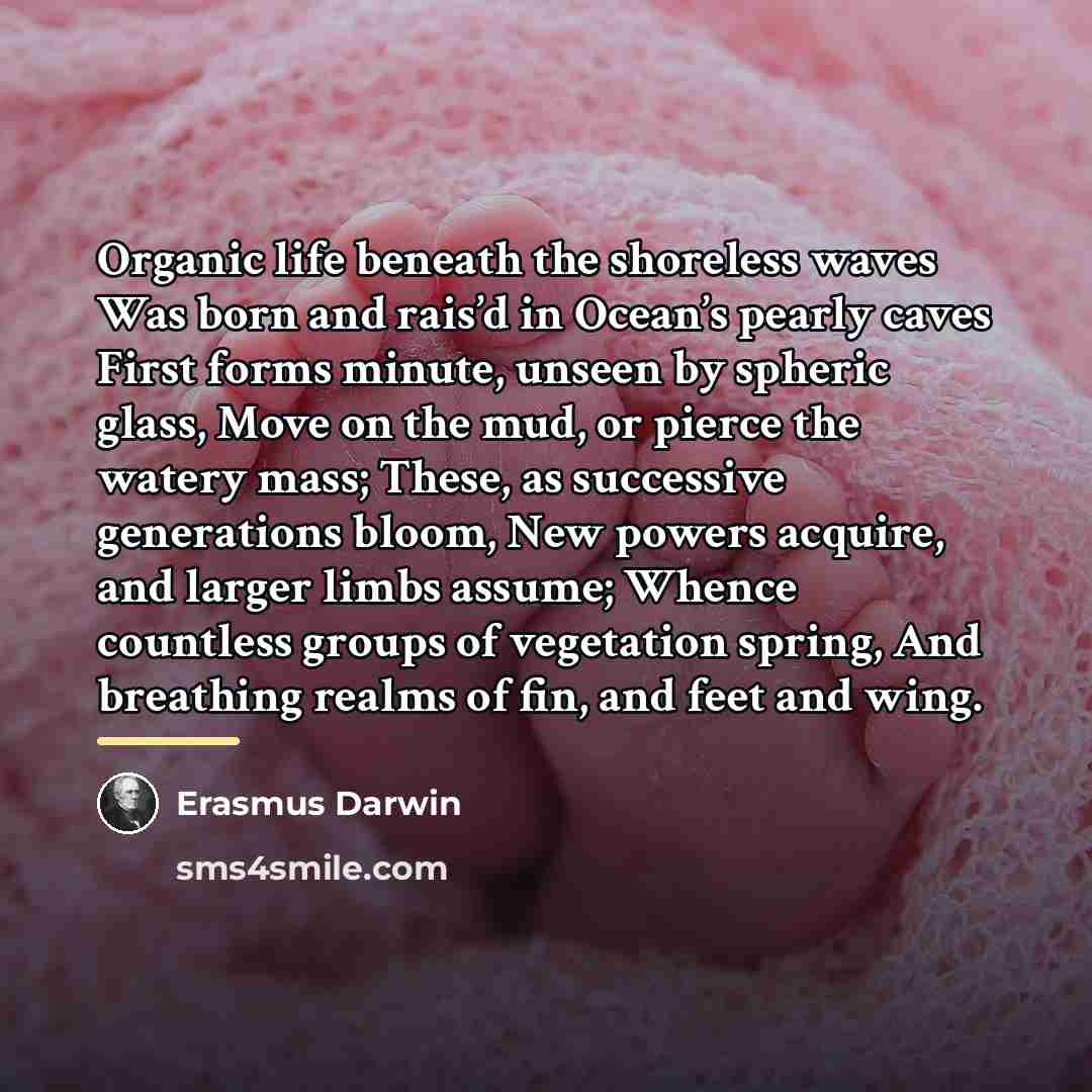 “Organic life beneath the shoreless waves Was born and rais’d…” quote by Erasmus Darwin
