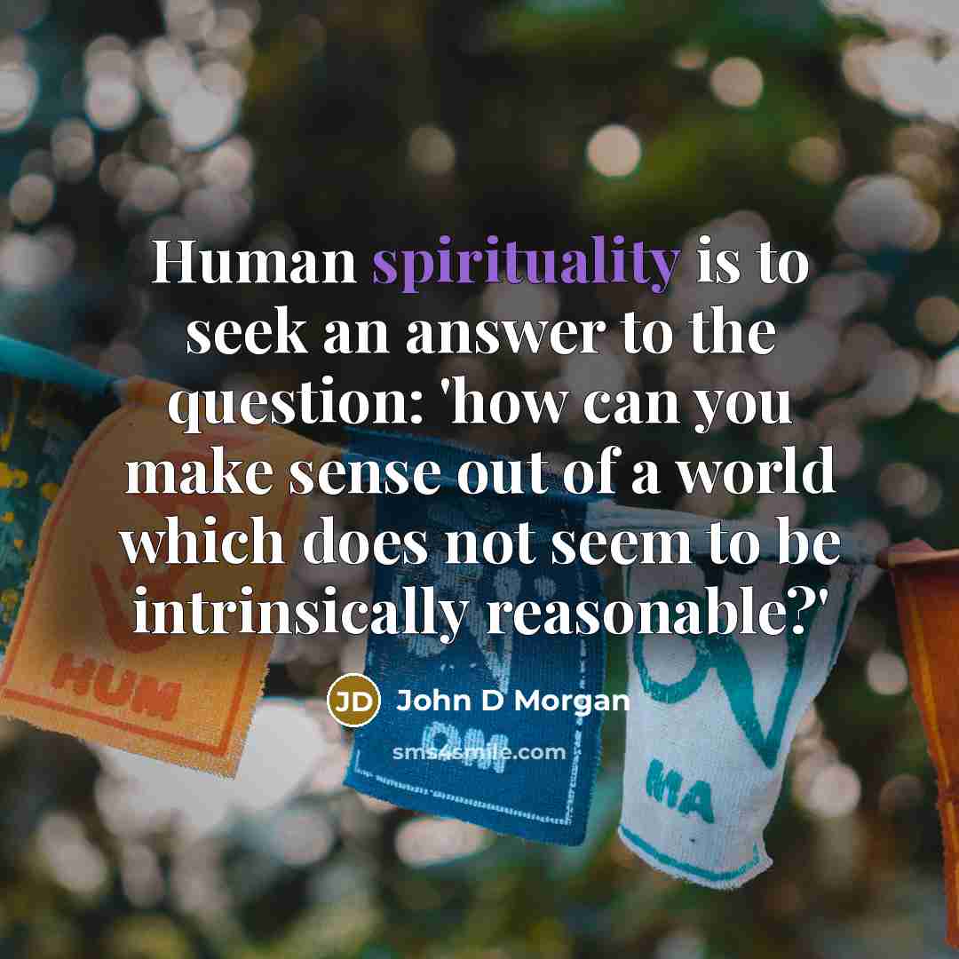 “Human spirituality is to seek an answer to the question: 'how can you make sense out of a world which does not seem to be intrinsically reasonable?'” quote by John D Morgan