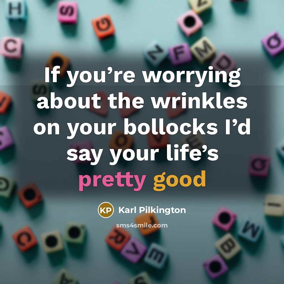 “If you’re worrying about the wrinkles on your bollocks I’d…” quote by Karl Pilkington