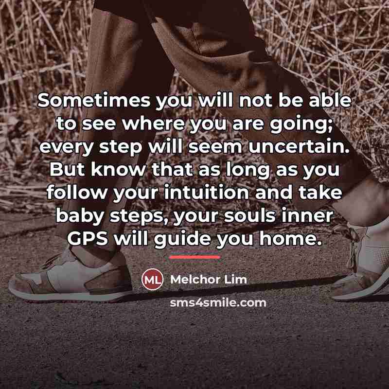 “Sometimes you will not be able to see where you…” quote by Melchor Lim