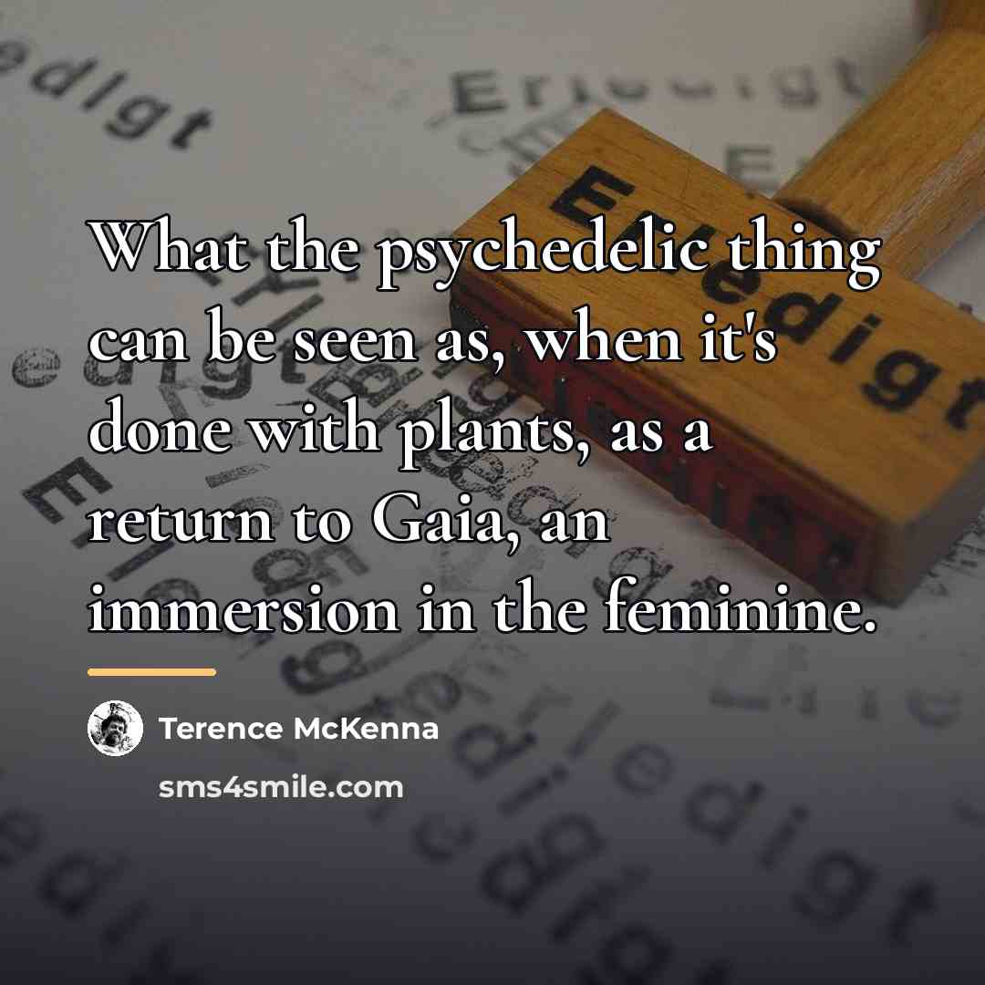 “What the psychedelic thing can be seen as, when it's…” quote by Terence McKenna