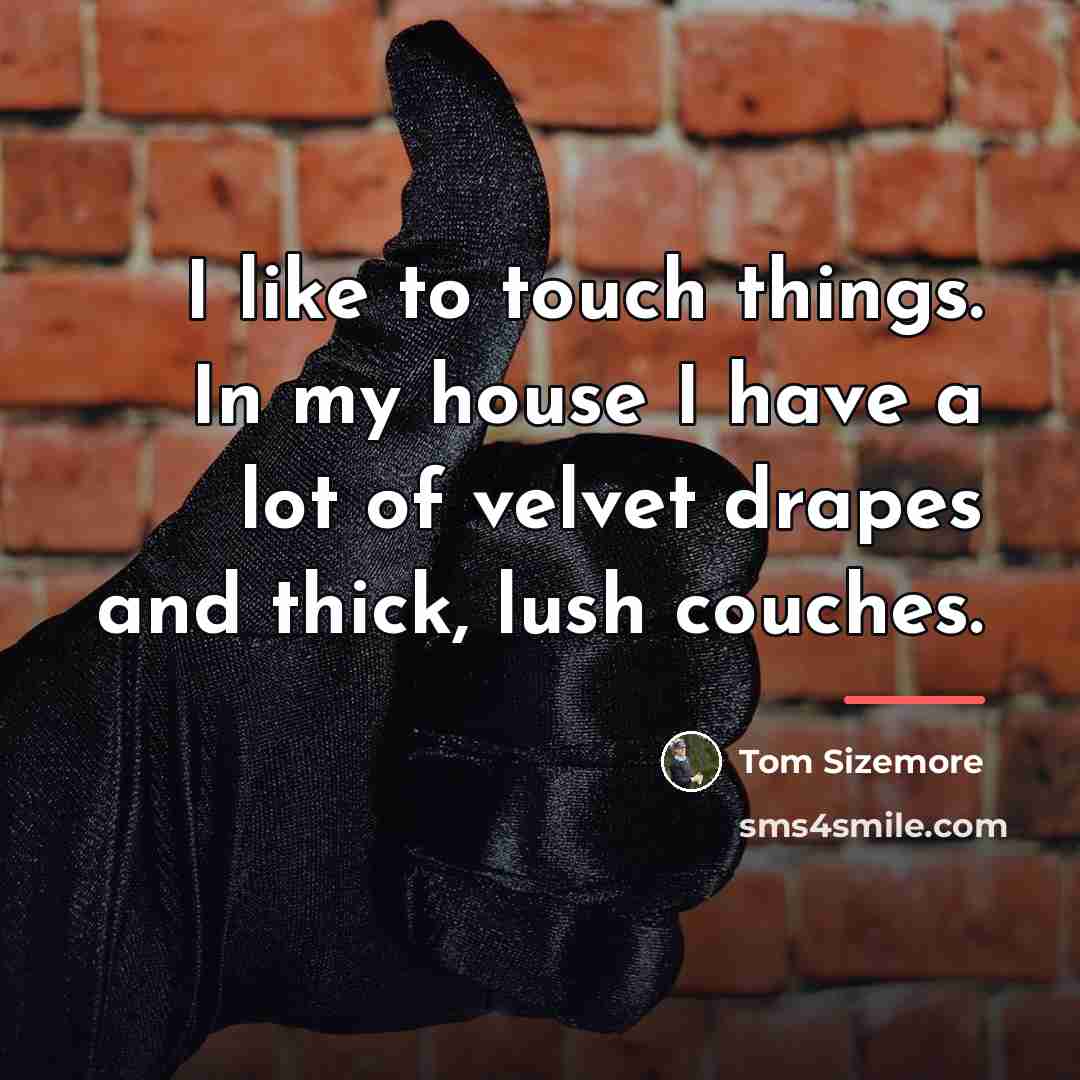 “I like to touch things. In my house I have…” quote by Tom Sizemore