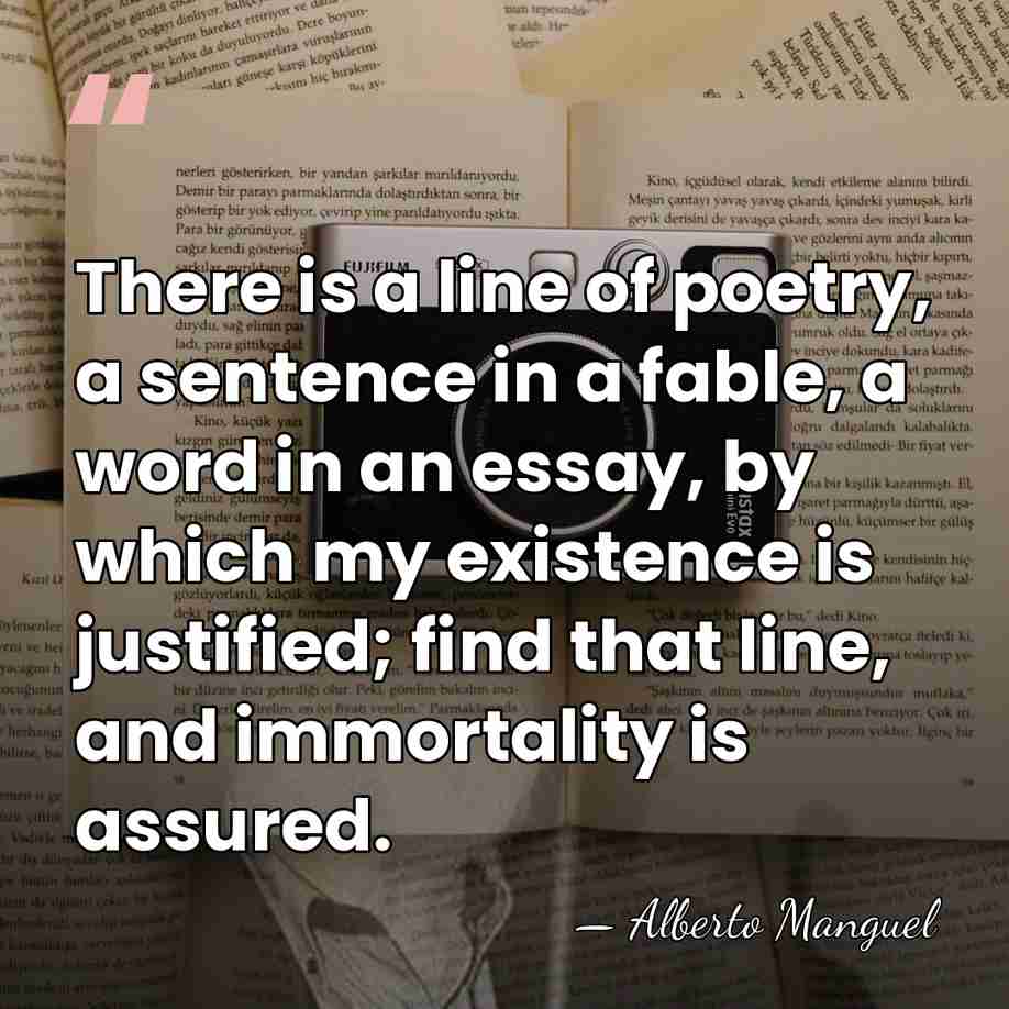There is a line of poetry, a sentence in a fable, a&hellip; - Alberto Manguel