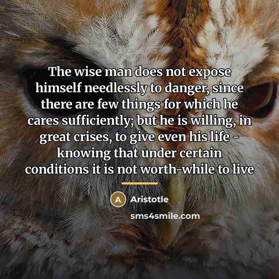 “The wise man does not expose himself needlessly to danger,…” quote by Aristotle