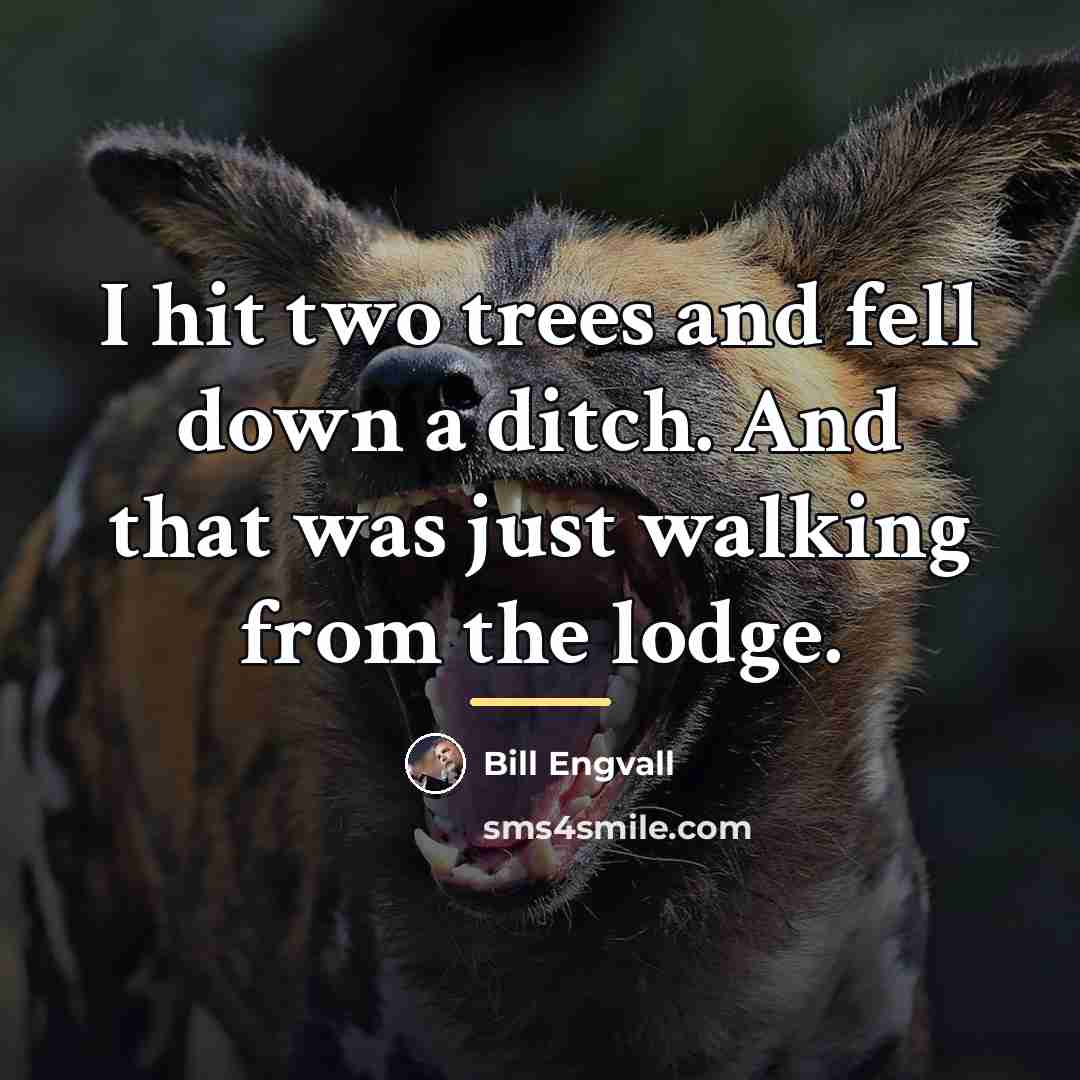 “I hit two trees and fell down a ditch. And…” quote by Bill Engvall
