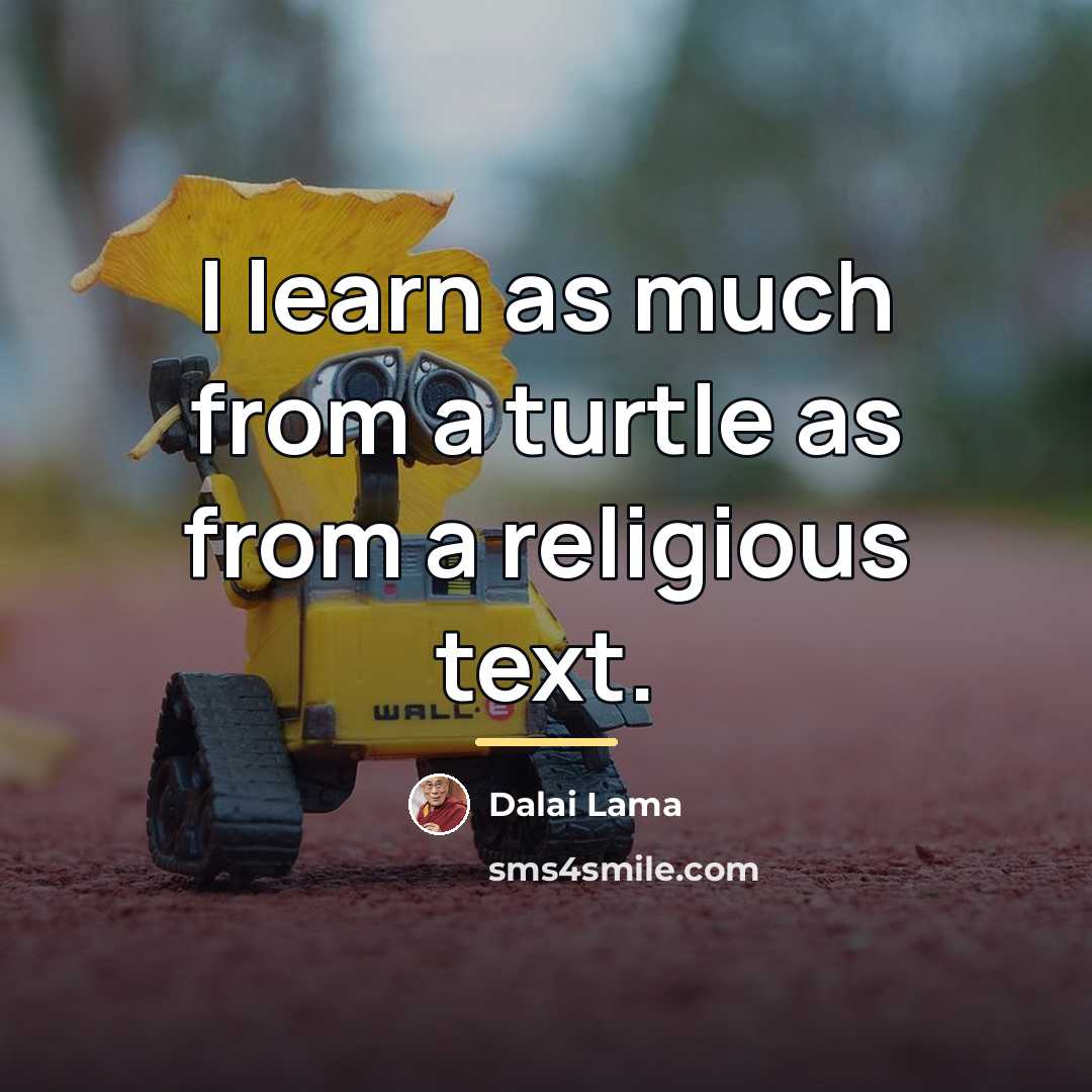 “I learn as much from a turtle as from a…” quote by Dalai Lama