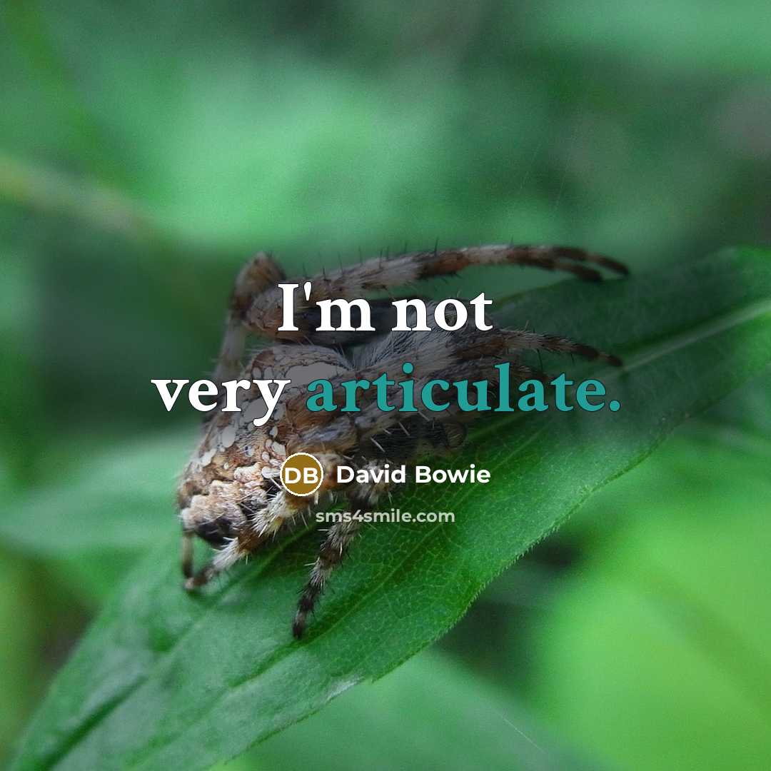 “I'm not very articulate.…” quote by David Bowie