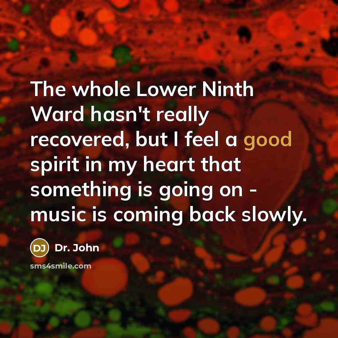 “The whole Lower Ninth Ward hasn't really recovered, but I…” quote by Dr. John