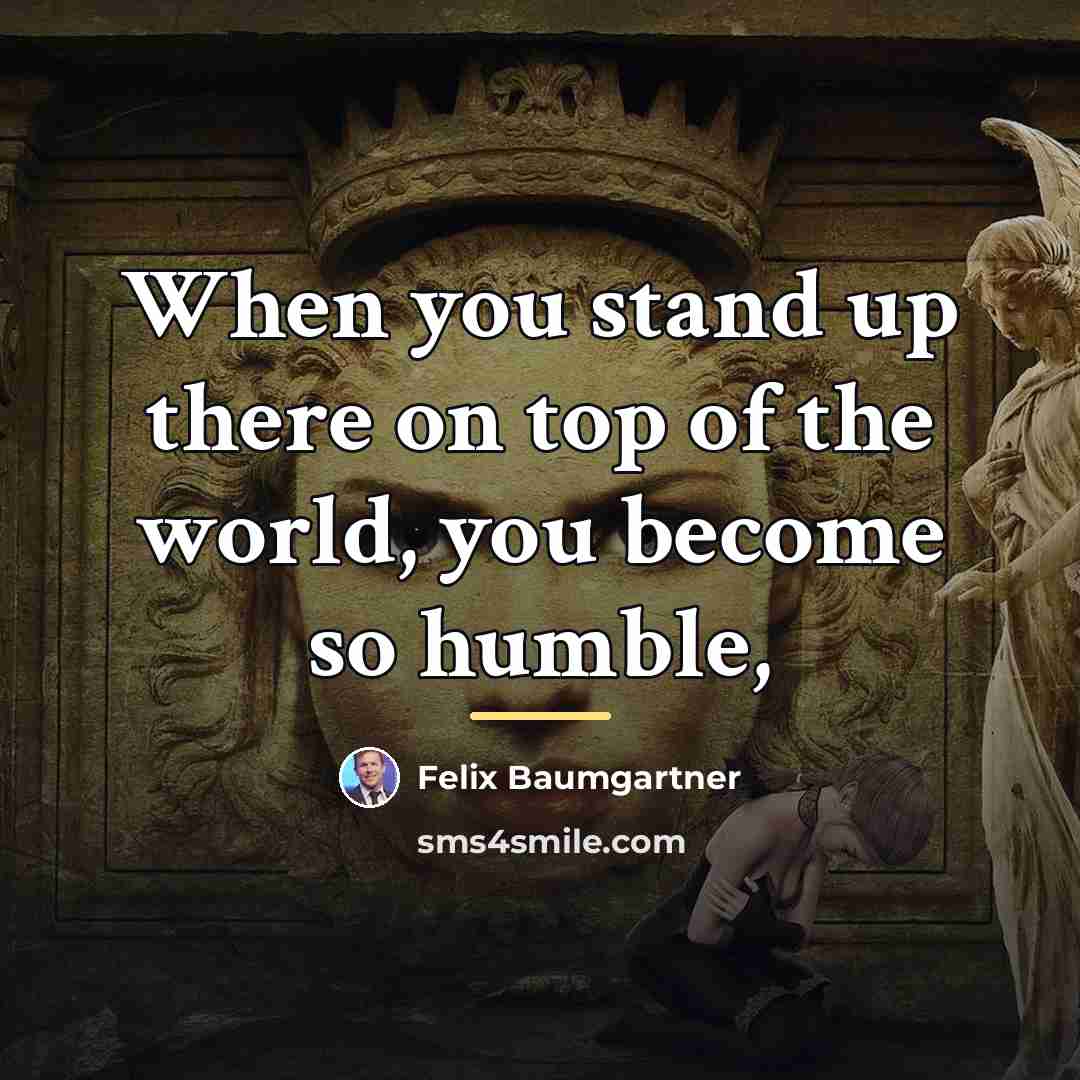 “When you stand up there on top of the world,…” quote by Felix Baumgartner