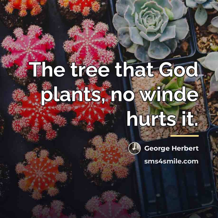 “The tree that God plants, no winde hurts it.…” quote by George Herbert