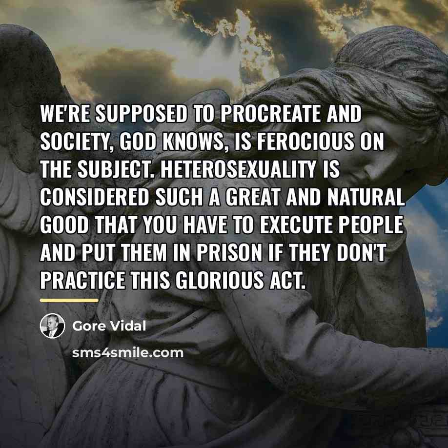 “We're supposed to procreate and society, god knows, is ferocious…” quote by Gore Vidal
