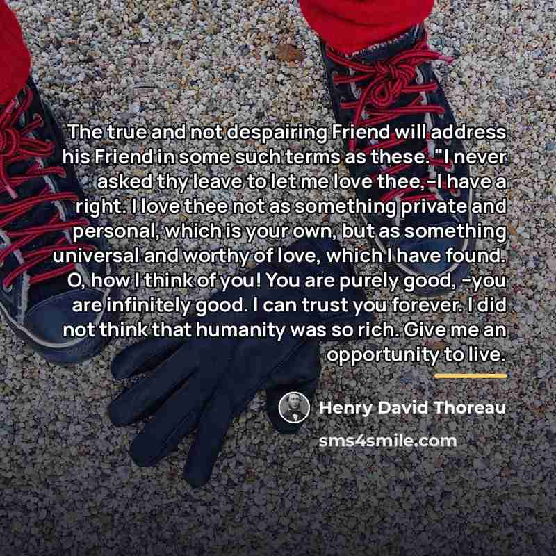 “The true and not despairing Friend will address his Friend…” quote by Henry David Thoreau