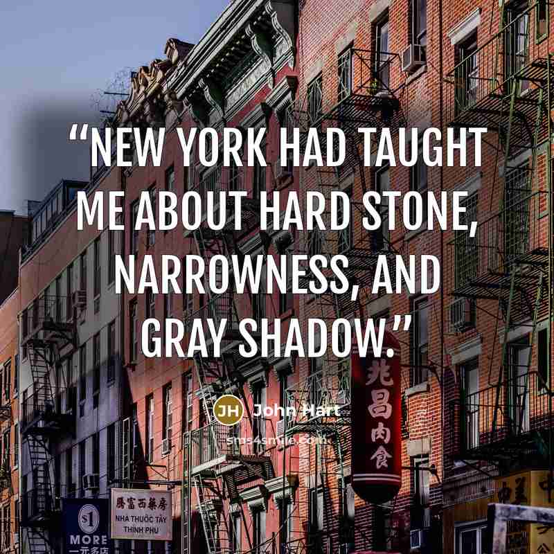 “New York had taught me about hard stone, narrowness, and gray shadow.” quote by John Hart