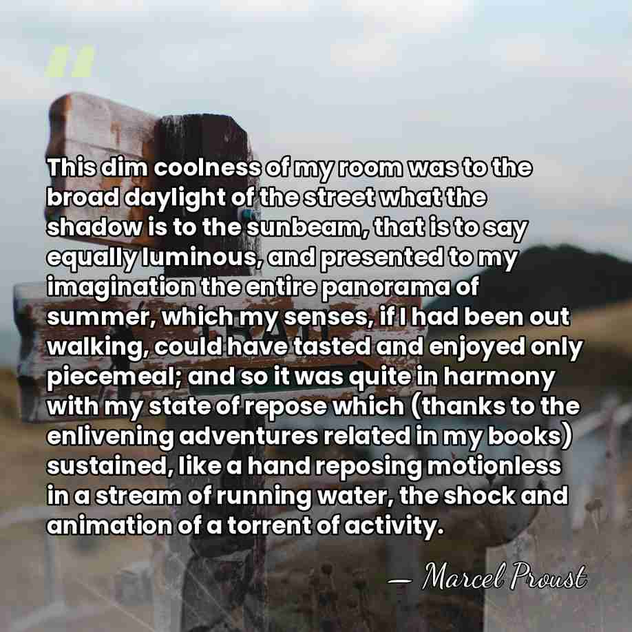 This dim coolness of my room was to the broad daylight of&hellip; - Marcel Proust