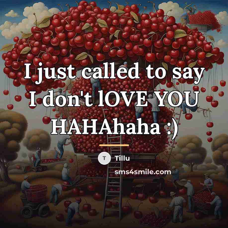 “I just called to say I don't lOVE YOU HAHAhaha…” quote by Tillu