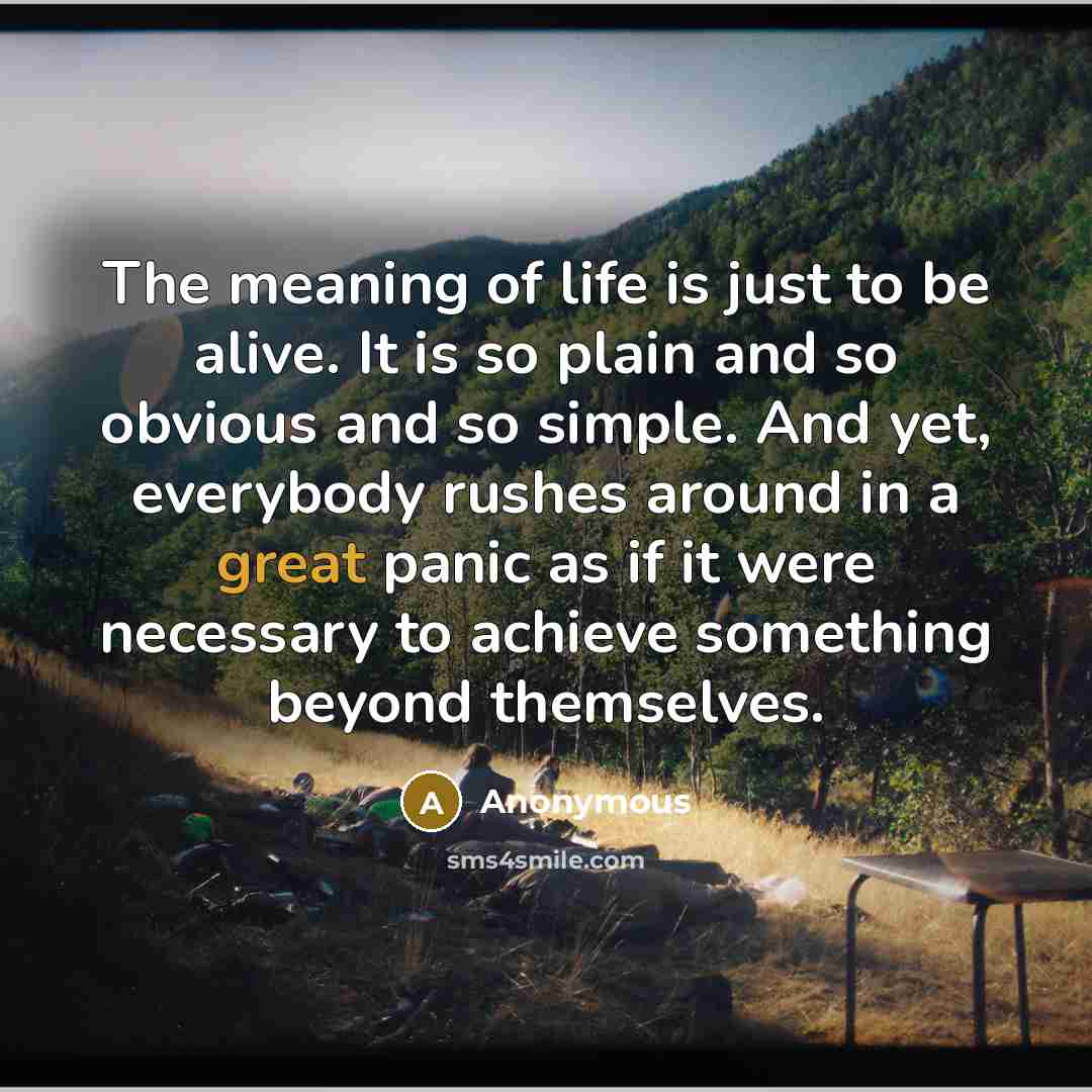 “The meaning of life is just to be alive. It…” quote by Anonymous