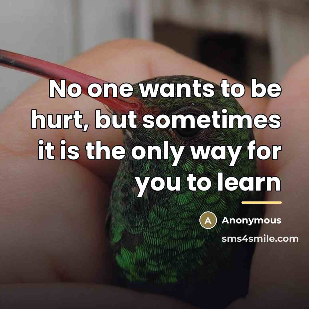 “No one wants to be hurt, but sometimes it is…” quote by Anonymous