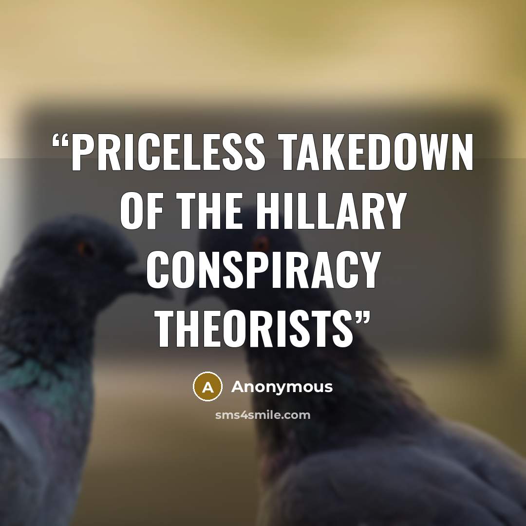 “Priceless Takedown of The Hillary Conspiracy Theorists” quote by Anonymous