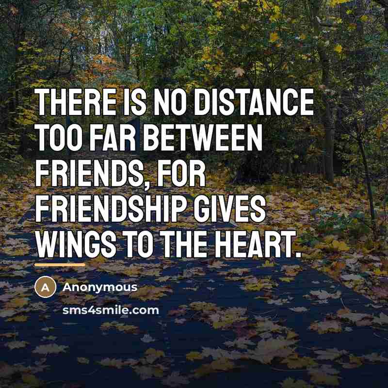 “There is no distance too far between friends, for friendship…” quote by Anonymous
