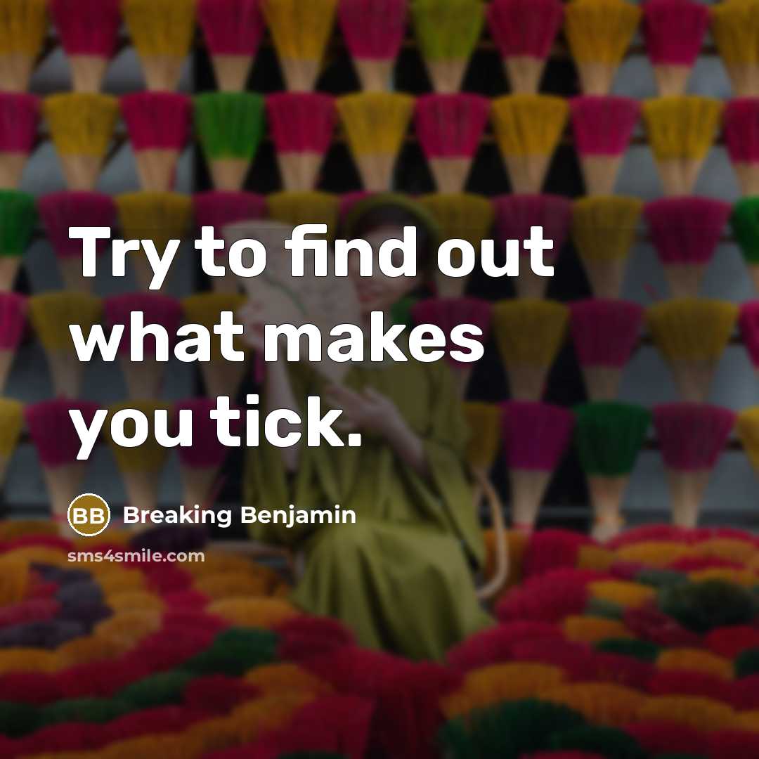 “Try to find out what makes you tick.…” quote by Breaking Benjamin