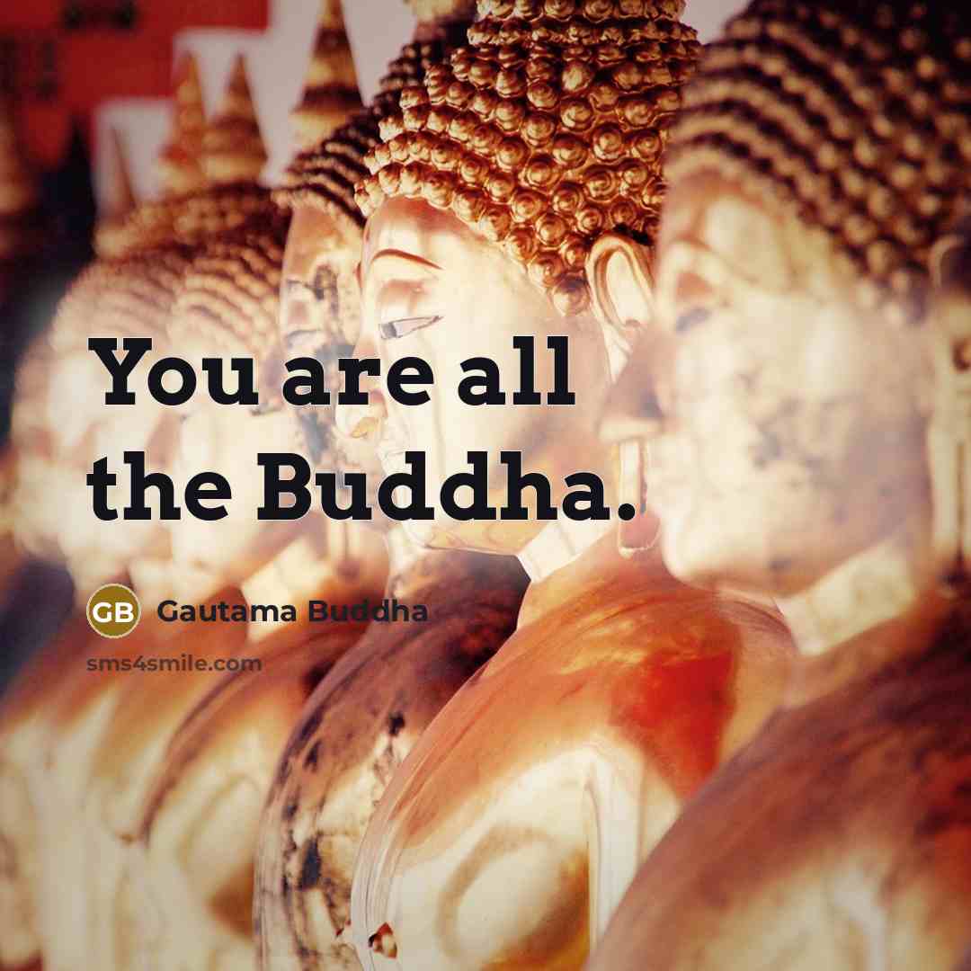 “You are all the Buddha.…” quote by Gautama Buddha