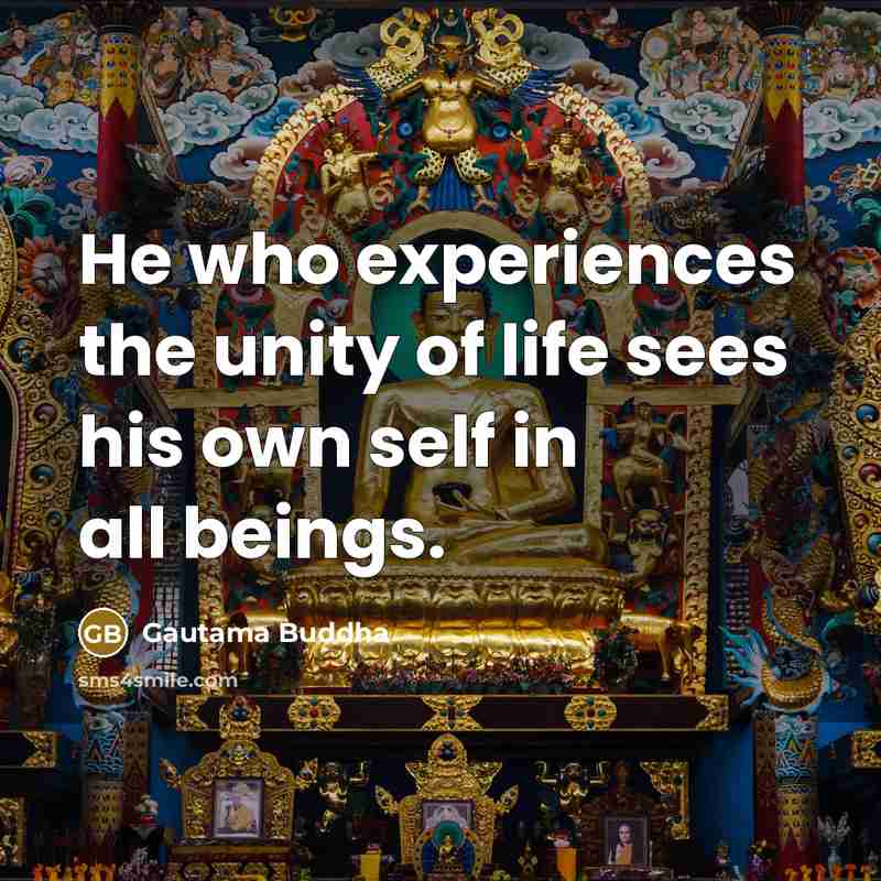 “He who experiences the unity of life sees his own…” quote by Gautama Buddha