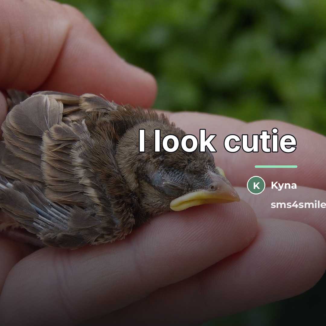 “I look cutie…” quote by Kyna