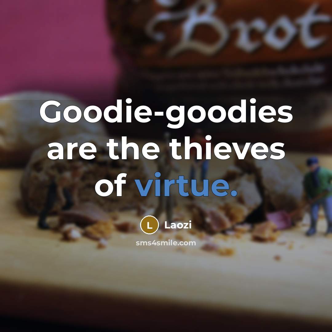 “Goodie-goodies are the thieves of virtue.…” quote by Laozi