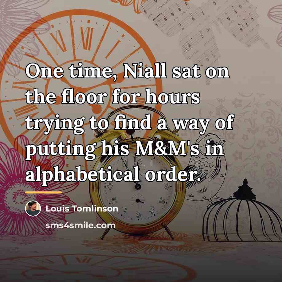 “One time, Niall sat on the floor for hours trying…” quote by Louis Tomlinson