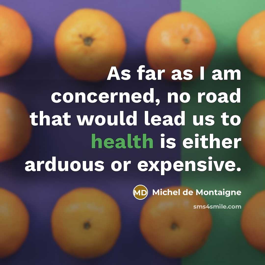 “As far as I am concerned, no road that would…” quote by Michel de Montaigne