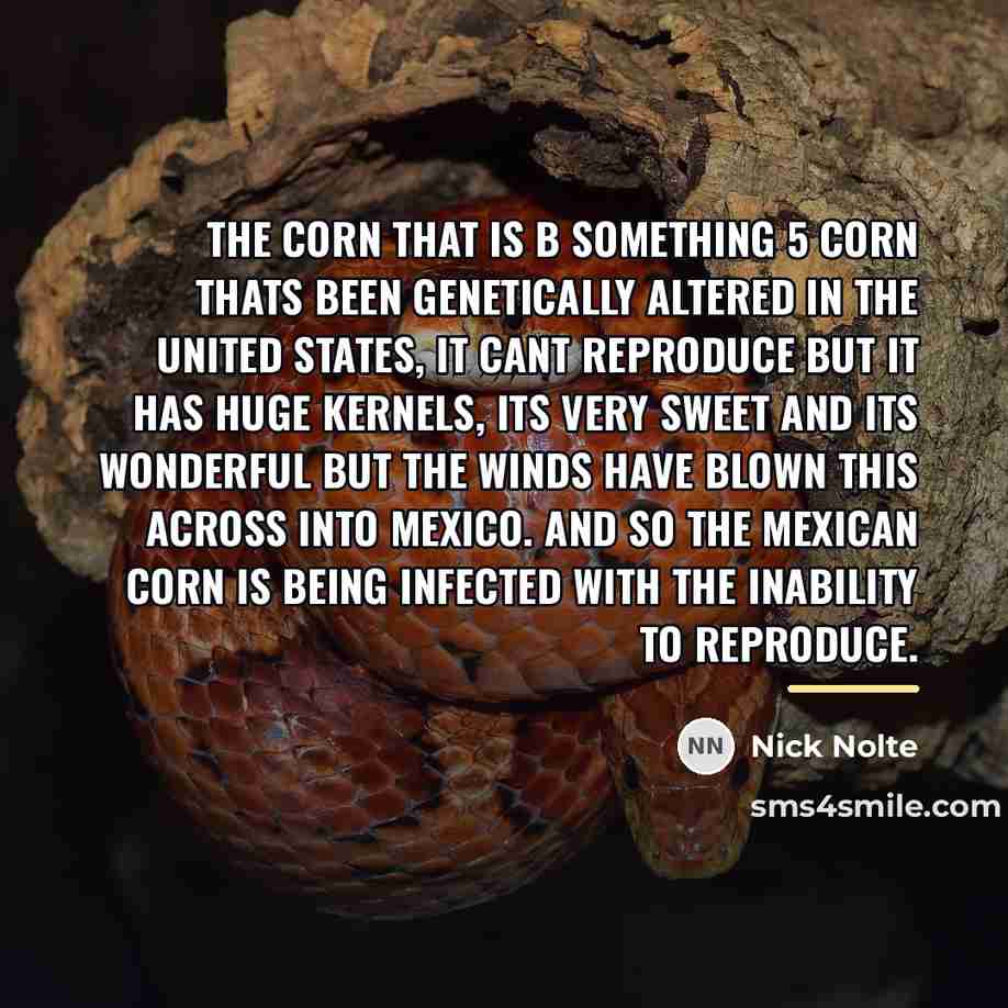 “The corn that is B something 5 corn thats been…” quote by Nick Nolte