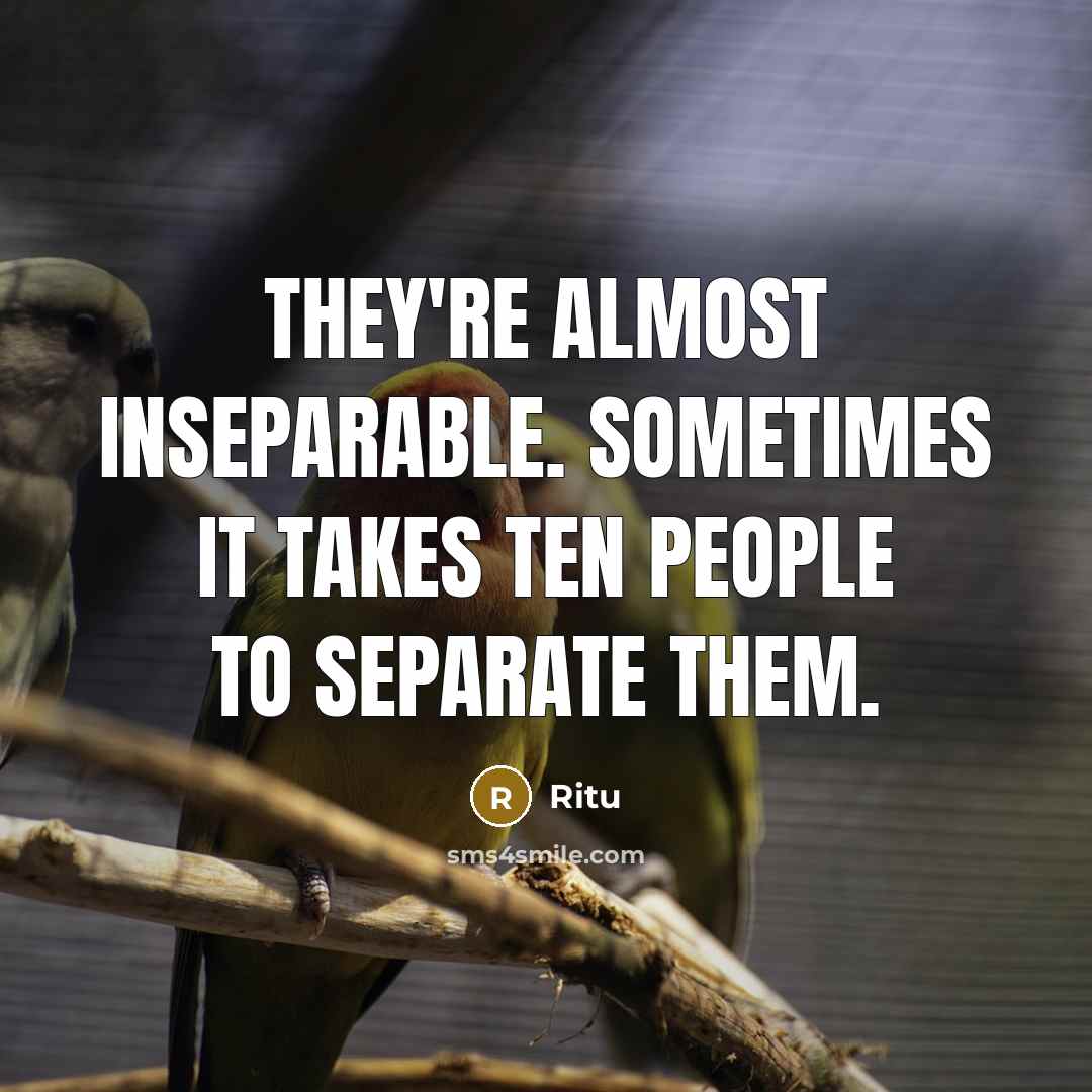 “They're almost inseparable. Sometimes it takes ten people to separate them.” quote by Ritu