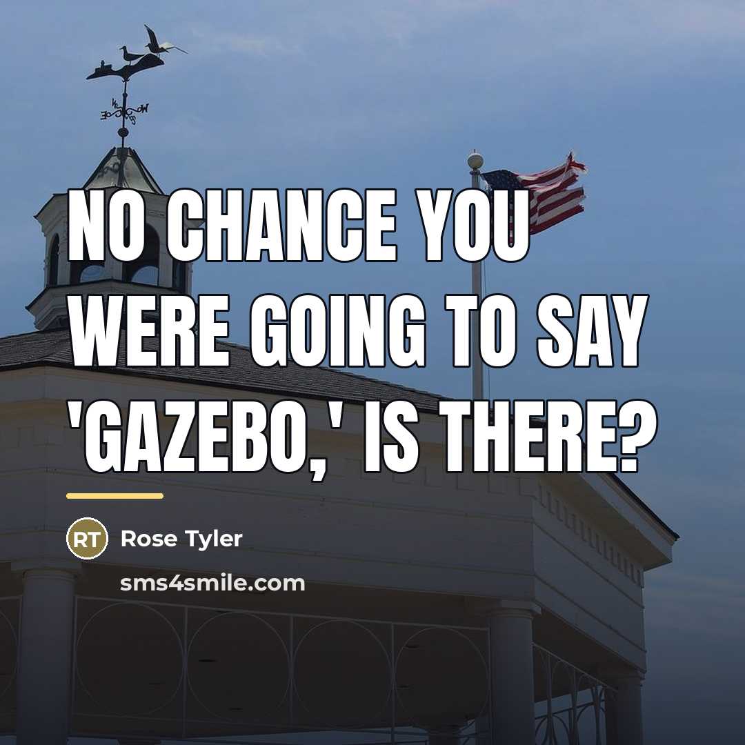 “No chance you were going to say 'gazebo,' is there?…” quote by Rose Tyler