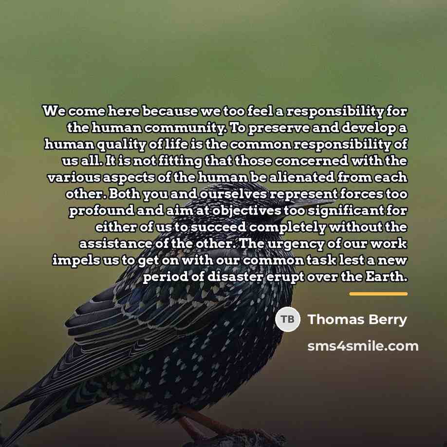 “We come here because we too feel a responsibility for…” quote by Thomas Berry